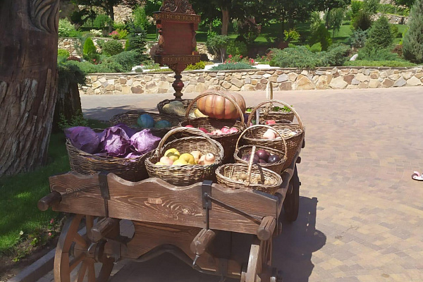 Корпоративный отдых на Донских просторах