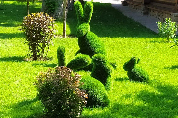 Корпоративный отдых на Донских просторах